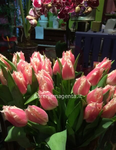 Bouquet di tulipani rosa